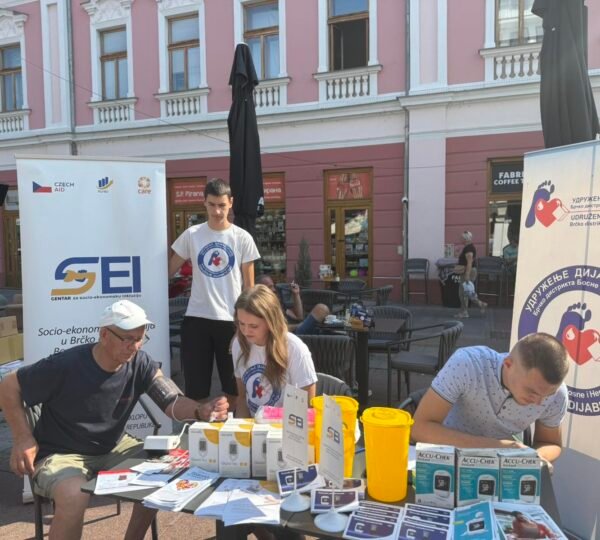 SEI Project Results Visible on the Ground: Preventive Action by the “Diabetic Association” in Brčko