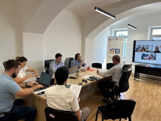 SEI Project team informs Donor about activities in 2025