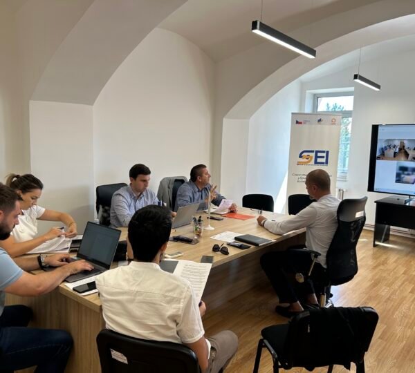 SEI projektni tim informirao donatora o aktivnostima u 2025. godini