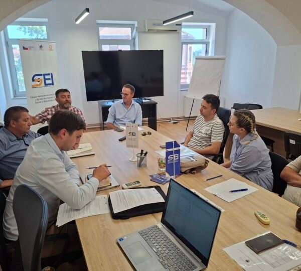 Focus of the SEI Project: Establishing the first Social enterprise in Brčko