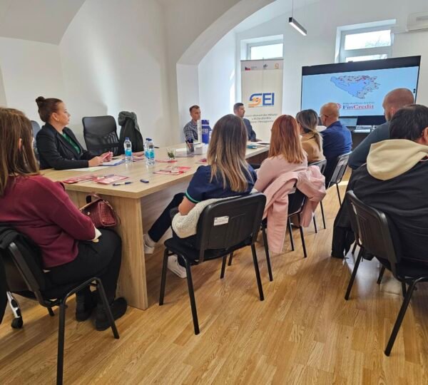 Završeno trodnevno predavanje u SEI centru: „Mogućnosti kreditiranja mikro, malih i srednjih preduzeća“