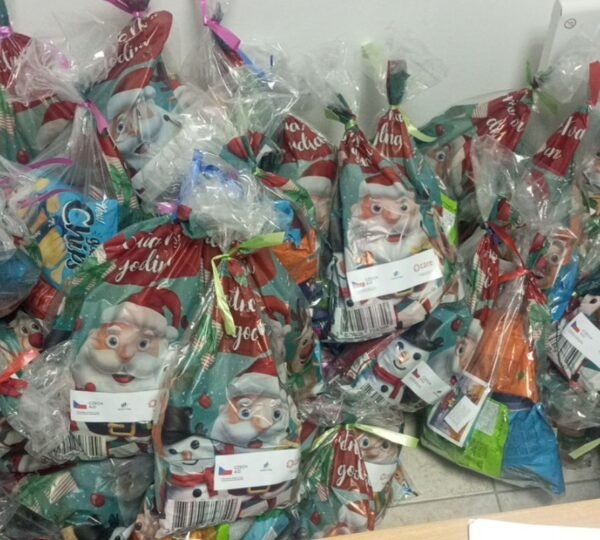 New Year gift packages distributed to children of the Roma national minority in the Brčko District