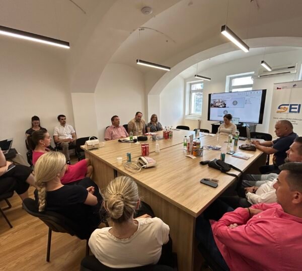 Održan sastanak Savjetodavnog odbora SEI projekta: predstavljeni rezultati i planirane aktivnosti